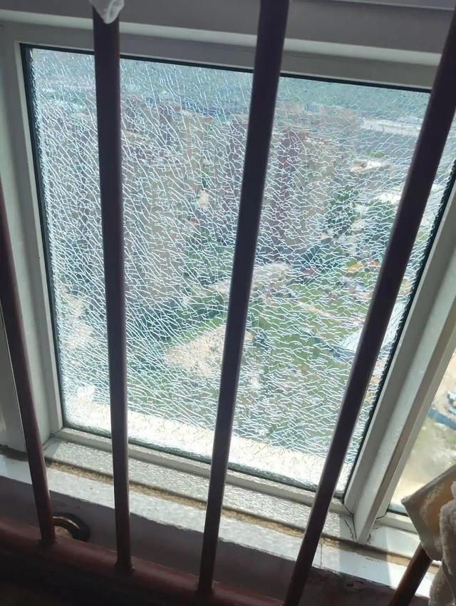 ！养鹅十多年头一次见鹅热死在水里爱游戏(ayx)中国网站442℃